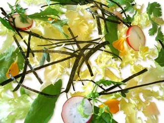 alga