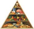 Alimentos indispensables para la salud