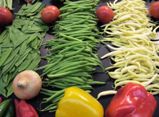 alimentos-ecologicos
