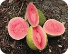 Alimentos ricos en vitamina C