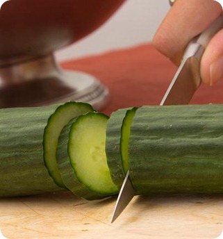 Bacterias y gérmenes en la cocina