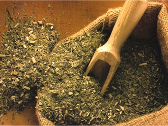 beneficios-yerba-mate