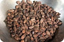 Cacao para quemar grasas