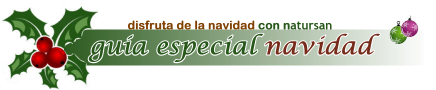 Todo sobre la Navidad en nuestra guía especial Todo sobre la Navidad en nuestra guía especial