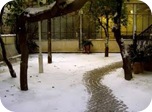 Comienzo del invierno 2012