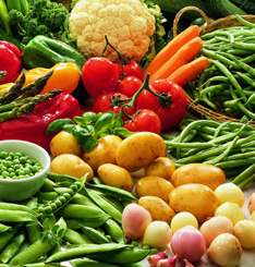 necesidades-nutricionales