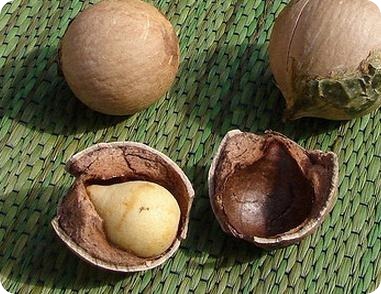 Nueces de Macadamia: beneficios y propiedades