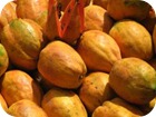 Papaya para el est&oacute;mago