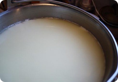Suero de leche: beneficios y propiedades