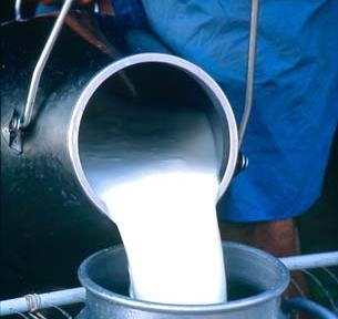 tipos-de-leche