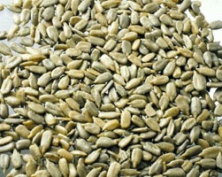 vitamina-b1-tiamina